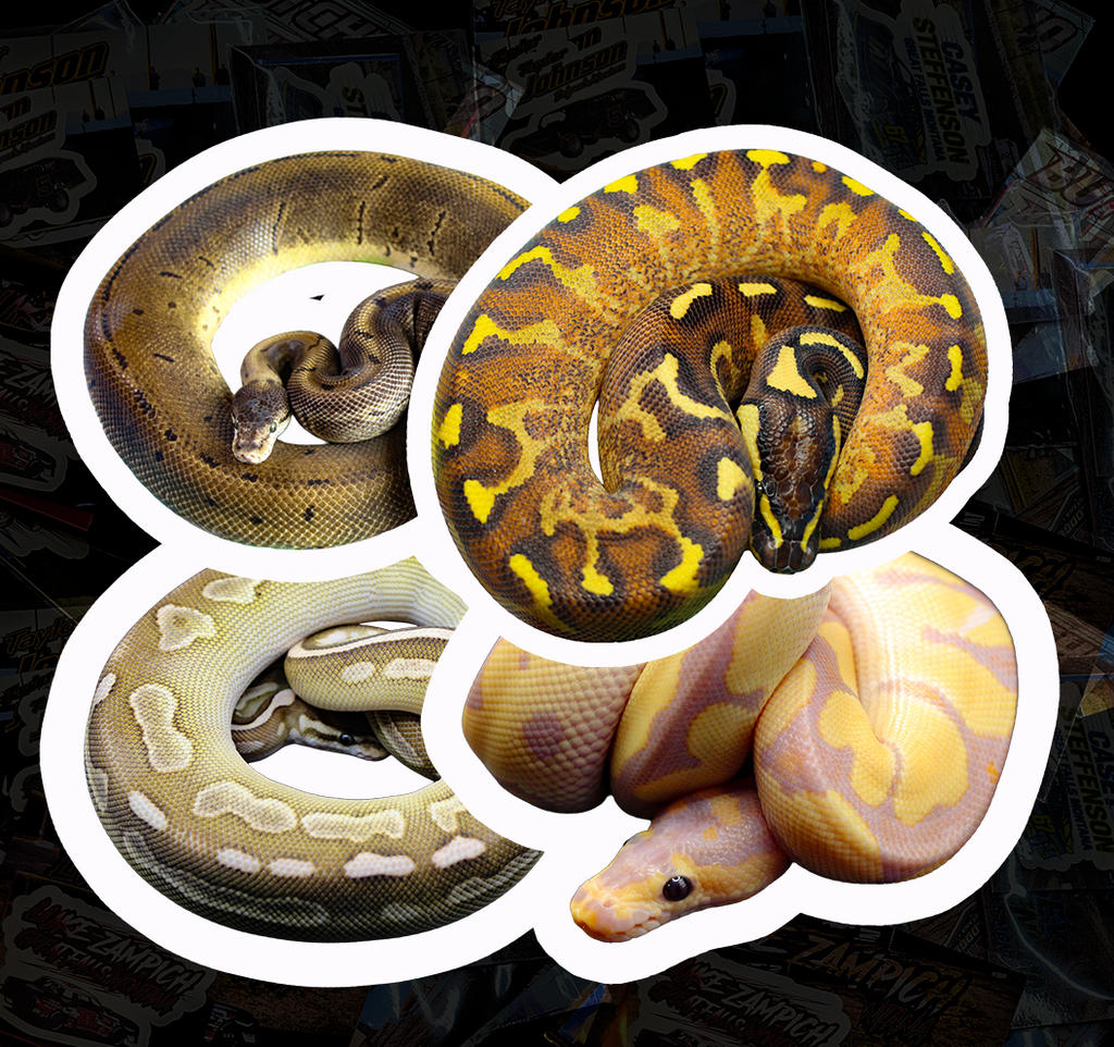 2in Die Cut Snek Stickers 🐆✨