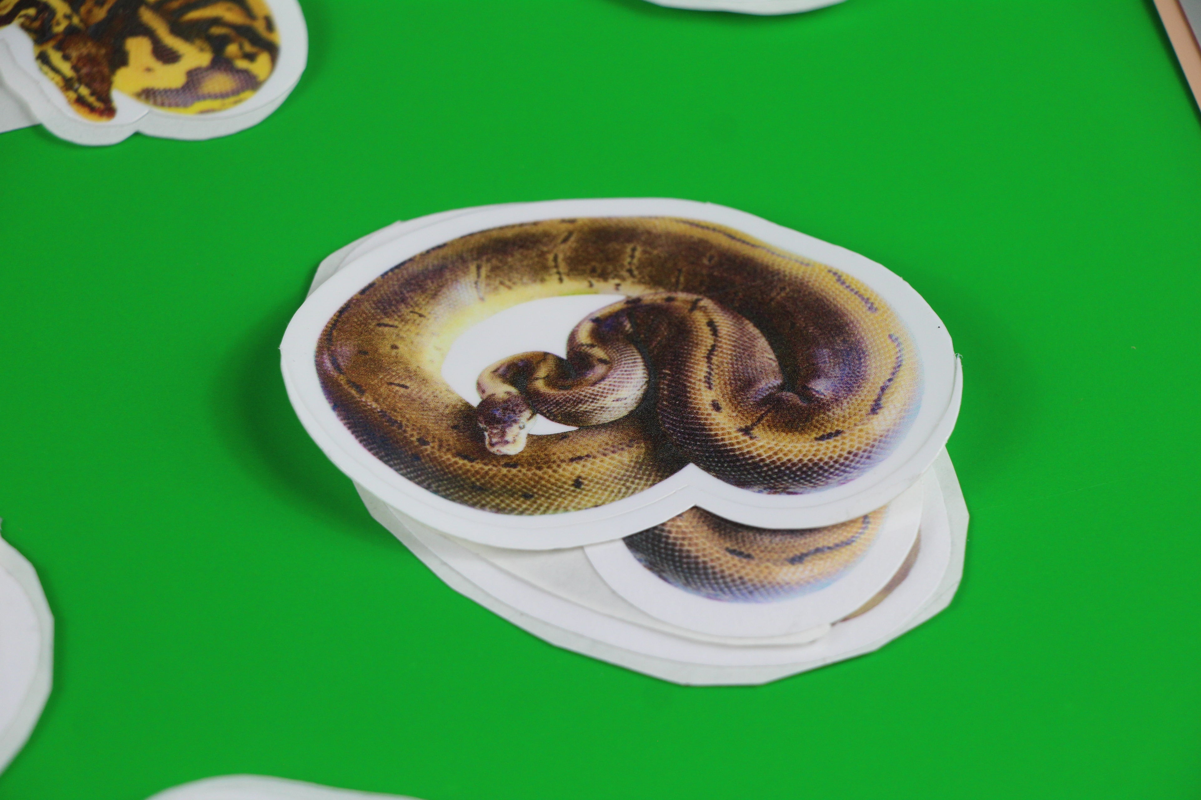 The Leopard Spinner Sticker 🐆✨