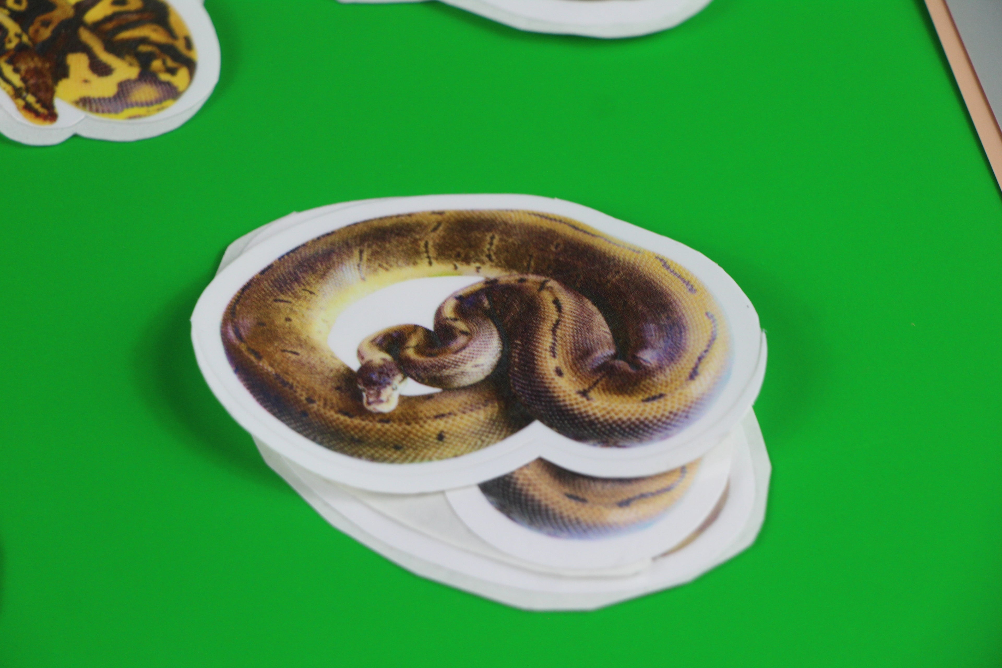 The Leopard Spinner Sticker 🐆✨